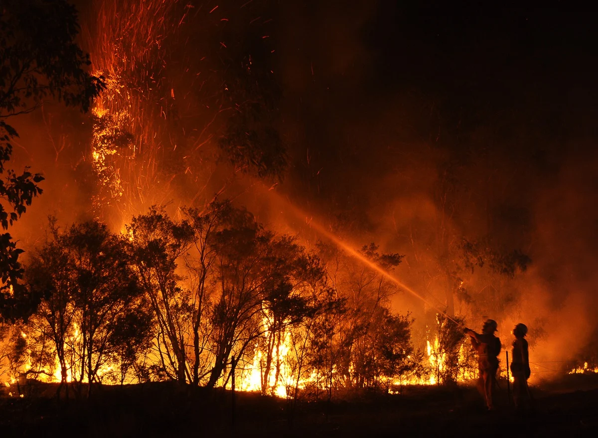 Post-Fire Recovery in Malibu